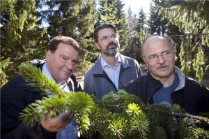 Norway Spruce Genome Sequenced: Largest Ever to Be Mapped